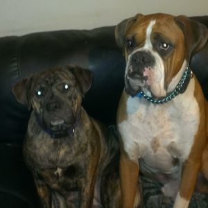 Meet your Posher, Tammy